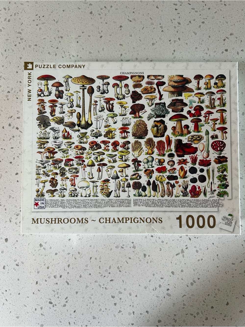 Puzzle Company Mushrooms 1000-Piece Jigsaw Puzzle - Multicolor